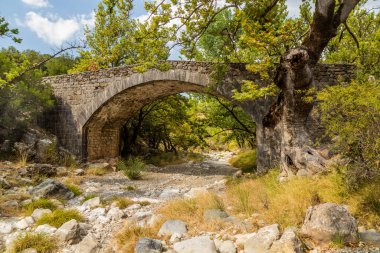 Bridge of Tzavarena between Vytina and Nymfasia villages on Peloponnese peninsula, Greece clipart