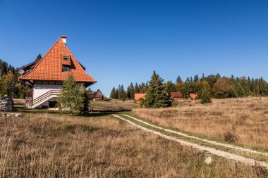 Rural houses in Mitrovac village, Serbia clipart