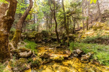 Yunanistan 'ın Peloponnese yarımadasındaki Elati köyü yakınlarındaki Milaon Nehri