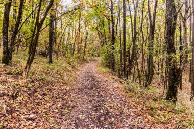 Sırbistan 'ın Derdap Milli Parkı' nda yürüyüş yolu