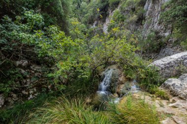 Yunanistan 'ın Mora yarımadasında Polilimnio Şelaleleri