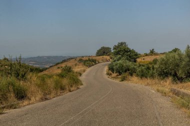 Yunanistan 'ın Mora yarımadasındaki kırsal yol