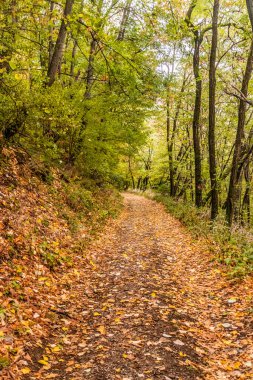 Sırbistan 'ın Derdap Milli Parkı' nda yürüyüş yolu