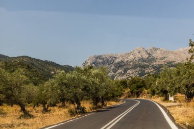 Yunanistan 'ın Moreloponnese yarımadasındaki Sparta kasabası yakınlarındaki Evrotas vadisinde 82 numaralı yol