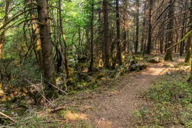 Yunanistan 'ın Moreloponnese yarımadasındaki Elati köyü yakınlarındaki Menalon yolu ve Milaon Nehri