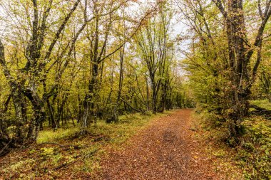 Sırbistan 'ın Derdap Milli Parkı' nda yürüyüş yolu