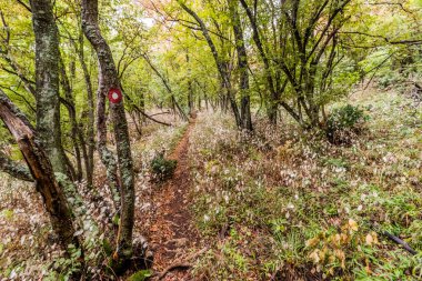 Hiking trail in Derdap National Park, Serbia clipart