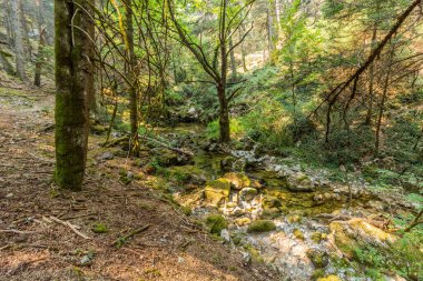 Yunanistan 'ın Peloponnese yarımadasındaki Elati köyü yakınlarındaki Milaon Nehri