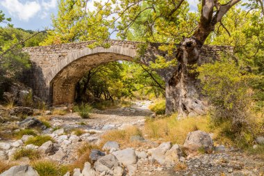 Bridge of Tzavarena between Vytina and Nymfasia villages on Peloponnese peninsula, Greece clipart