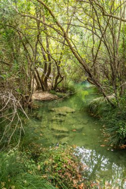 Yunanistan 'ın Moreloponnese yarımadasındaki Polylimnio Şelaleleri yakınlarındaki akarsu