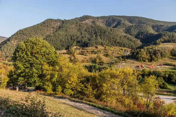 Sırbistan 'ın Mokra Gora kentinden Drvengrad (Kustendorf) yerleşimine giden yol