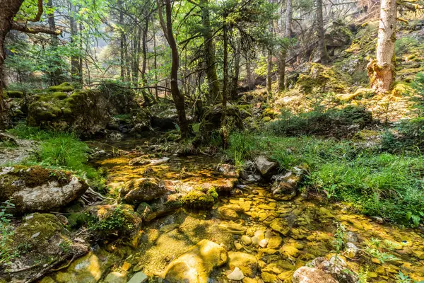 Yunanistan 'ın Peloponnese yarımadasındaki Elati köyü yakınlarındaki Milaon Nehri