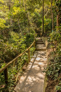 Minca, Kolombiya yakınlarındaki Marinka şelalelerine giden yol