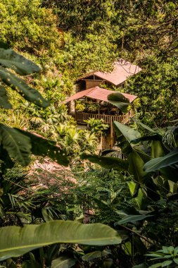 Minca, Kolombiya yakınlarındaki Marinka şelaleleri yakınlarında kulübeler.