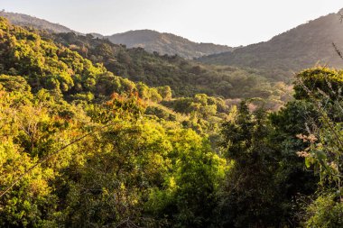 Minca, Kolombiya yakınlarındaki tepeleri kaplayan orman