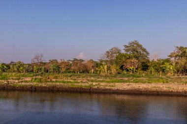 Santa Cruz de Mompox yakınlarındaki Magdalena Nehri, Kolombiya