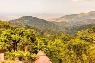Minca, Kolombiya yakınlarındaki yemyeşil ormanlar ve dağlar