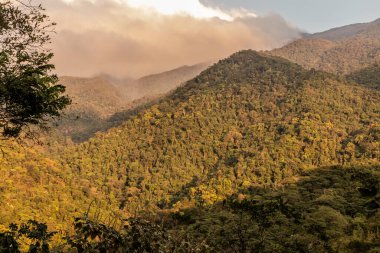 Minca, Kolombiya yakınlarındaki yemyeşil dağlar