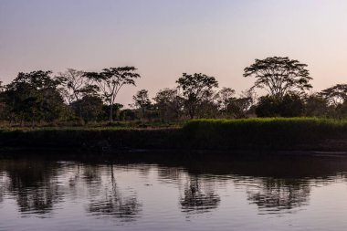 Banks of Magdalena river near Santa Cruz de Mompox, Colombia clipart