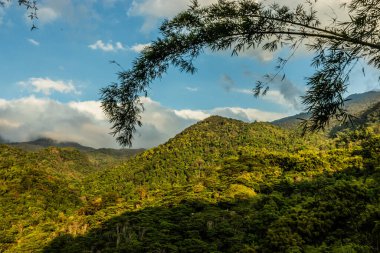 Minca, Kolombiya yakınlarındaki yemyeşil dağlar