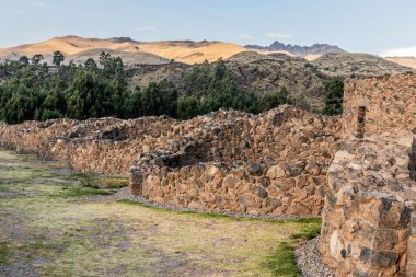 Peru 'daki Raqchi kompleksindeki Qullqa (Colca) depolama evleri