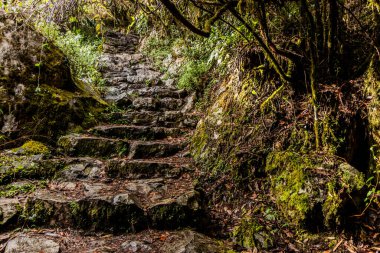 Machu Picchu dağına giden adımlar, Peru