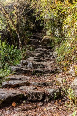 Machu Picchu dağına giden adımlar, Peru