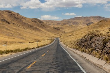 Peru 'daki Altiplano Andean Platosu' ndan geçen yol.