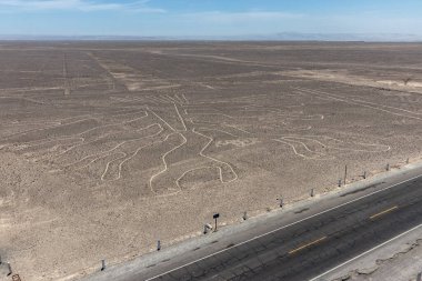 Nazca çizgilerinin Ağaç resmi, Peru