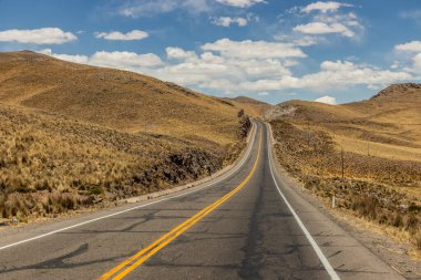 Peru 'daki Altiplano Andean Platosu' ndan geçen yol.