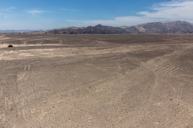 Nazca çizgilerinin Kertenkele resmi, Peru