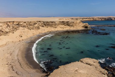 Kayalıklar ve San Fernando 'da bir sahil ulusal rezervi, Peru
