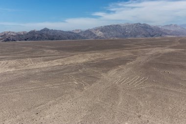 Nazca çizgilerinin Kertenkele resmi, Peru