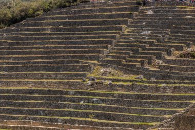 Machu Picchu Kalesinin Terasları, Peru