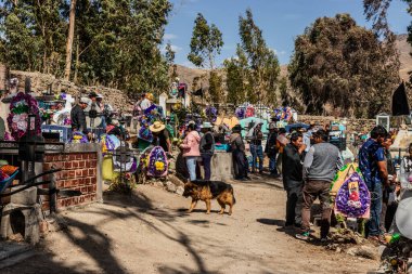 ICHUPAMPA, PERU, NOVEMBER 2, 2022: Colca Canyon, Peru 'daki Ichupampa köyü mezarlığında Ruhlar Günü kutlamaları
