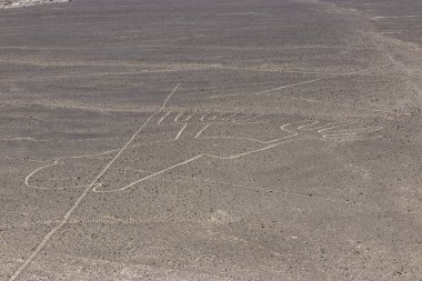 Nazca çizgilerinin elleri, Peru
