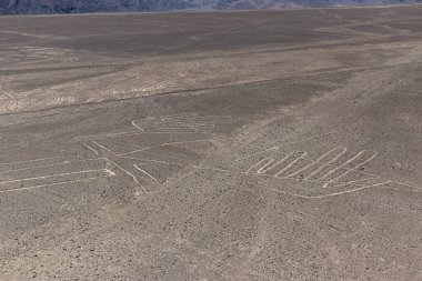 Nazca çizgilerinin Kertenkele resmi, Peru