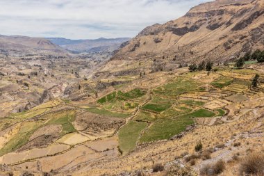 Peru 'daki Colca Kanyonu' nun havadan görünüşü