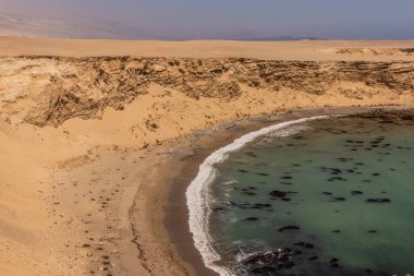 Kayalıklar ve San Fernando 'da bir sahil ulusal rezervi, Peru