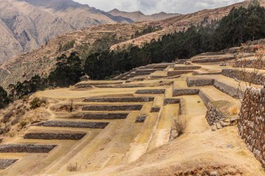 Chinchero, Peru 'daki İnka tarım terasları