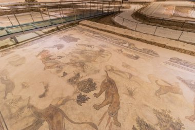 SANLIURFA, TURKEY - 22 Eylül 2022: Şanlıurfa Haleplibahçe Mozaik Müzesi, Türkiye