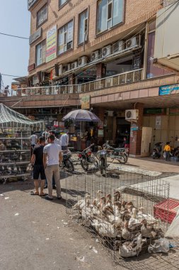 SuLAYMANIYAH, IRAQ - 7 Ekim 2022: Irak 'ın Kürdistan Bölgesi, Sulaymaniyah' taki Naqib pazarında kafesteki ördekler