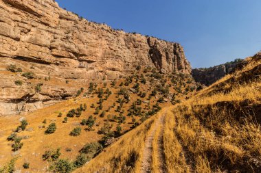 Irak Kürdistan Bölgesi 'nde Rawandiz (Rawanduz) nehir kanyonu