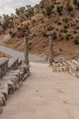 Türkiye 'de Antik Severan (Cendere) Roma Köprüsü