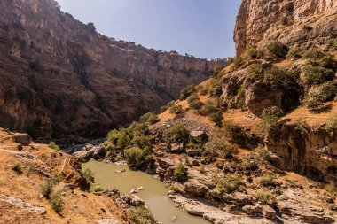 Rawandiz (ayrıca Rawanduz), Irak 'ın Kürdistan bölgesinde bir vadi.