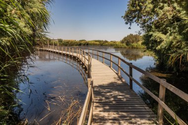 Azraq Wetlands Reserve, Ürdün 'deki sahil yolu.