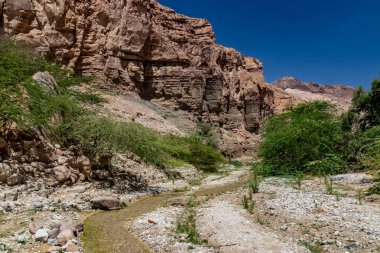 Wadi Numeira Kanyonu manzarası, Ürdün