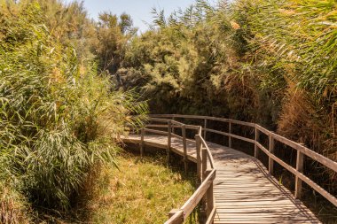 Azraq Wetlands Reserve, Ürdün 'deki sahil yolu.
