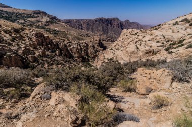 Dana Biyosfer Reserve, Ürdün 'deki Wadi Dana Kanyonu