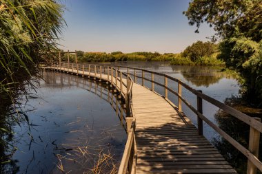 Azraq Wetlands Reserve, Ürdün 'deki sahil yolu.